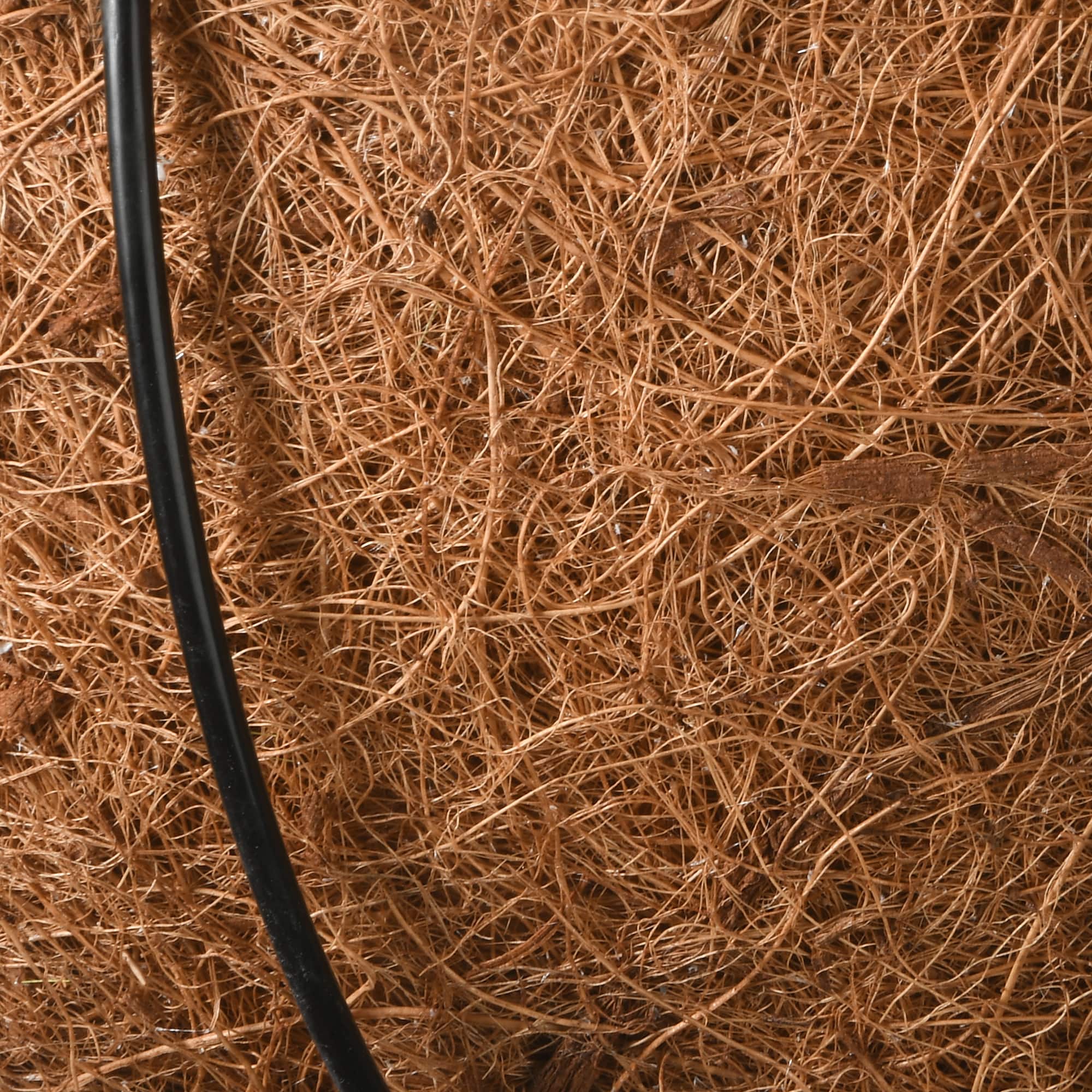 18" Harvest Sunflower Hanging Basket